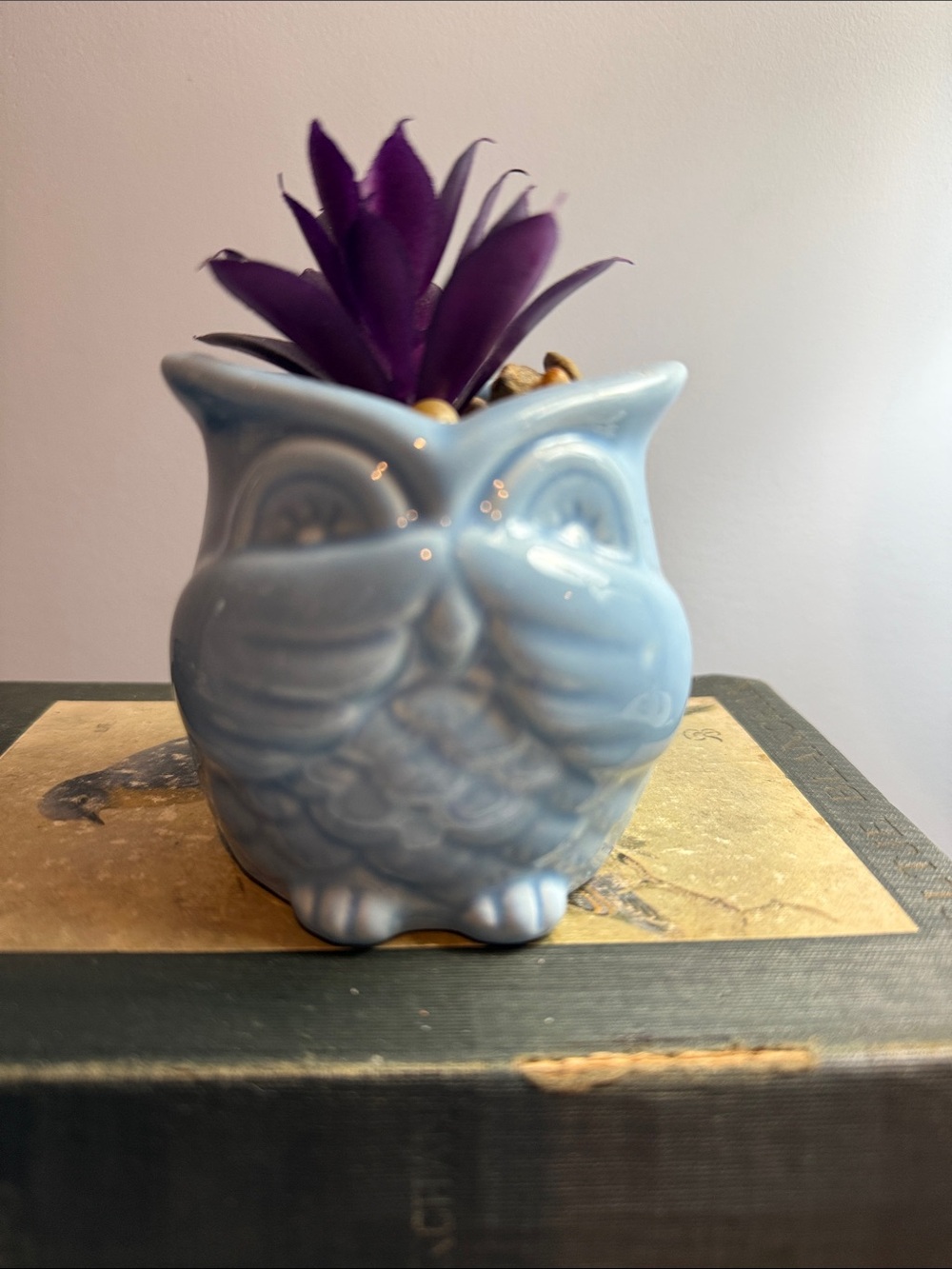 Ceramic Owl Planter in Light Blue